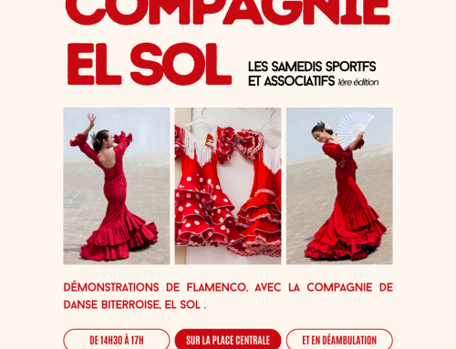 Démonstration de Flamenco
